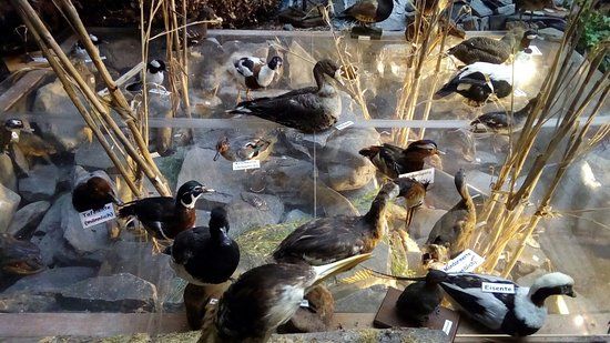 Erlebnismuseum Lernort Natur